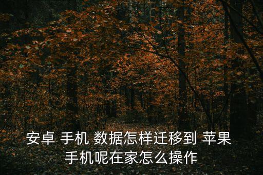 數(shù)據(jù)從安卓到蘋(píng)果手機(jī)上,安卓手機(jī)換蘋(píng)果手機(jī)怎么轉(zhuǎn)移數(shù)據(jù)