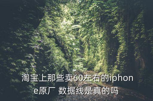 淘寶上那些賣60左右的iphone原廠 數(shù)據(jù)線是真的嗎