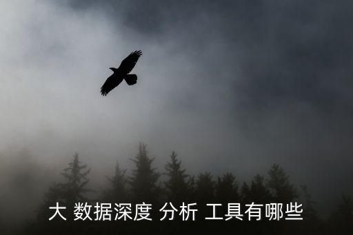 大 數(shù)據(jù)深度 分析 工具有哪些