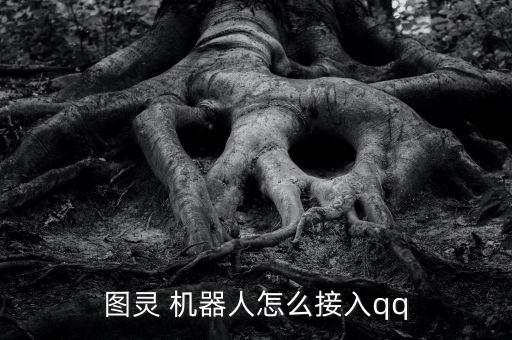 圖靈 機(jī)器人怎么接入qq