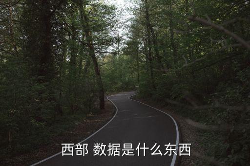 西部數(shù)據(jù)股份有限公司
