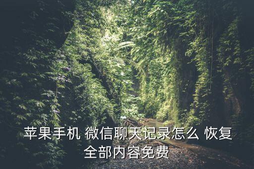  蘋果手機 微信聊天記錄怎么 恢復全部內容免費