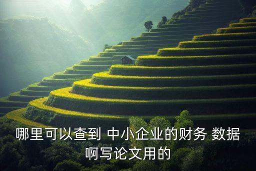 哪里可以查到 中小企業(yè)的財務(wù) 數(shù)據(jù)啊寫論文用的