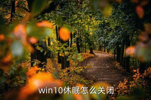  win10休眠怎么關(guān)閉