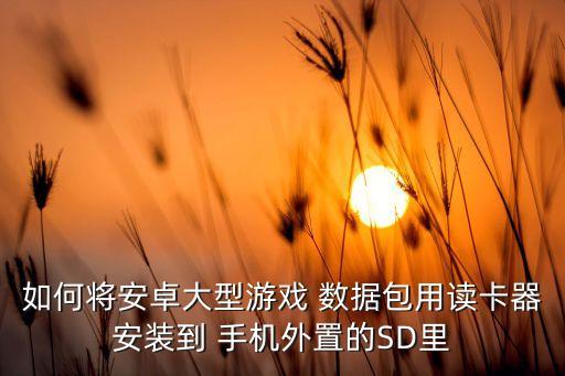 如何將安卓大型游戲 數(shù)據(jù)包用讀卡器安裝到 手機(jī)外置的SD里