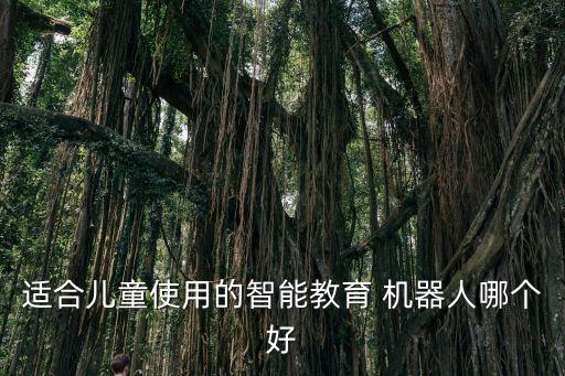 適合兒童使用的智能教育 機(jī)器人哪個好