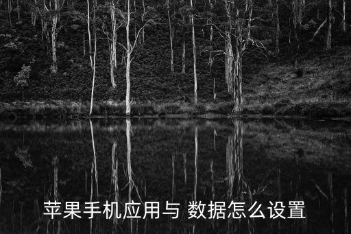 蘋果手機(jī)應(yīng)用與 數(shù)據(jù)怎么設(shè)置