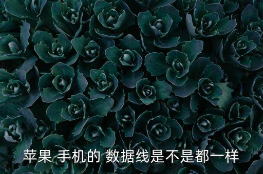 蘋果 手機(jī)的 數(shù)據(jù)線是不是都一樣