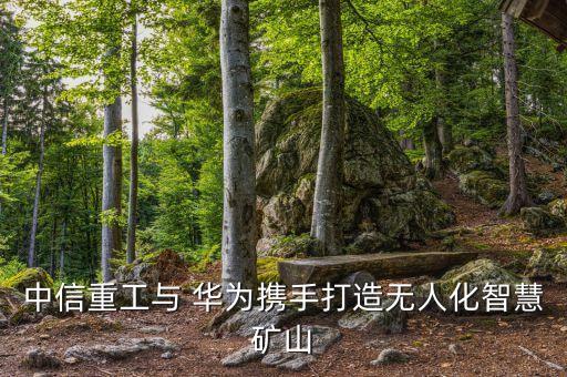 華為 機(jī)器人 研發(fā),華為機(jī)器人公司最新消息