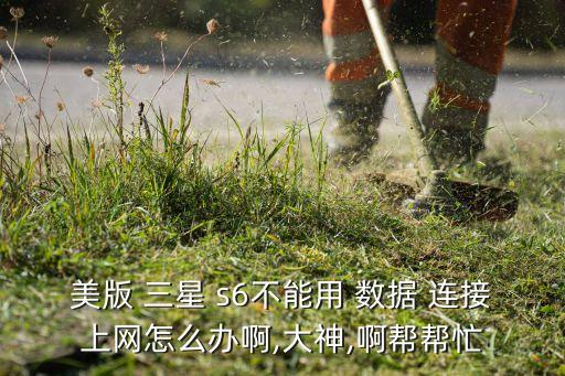 美版 三星 s6不能用 數(shù)據(jù) 連接上網(wǎng)怎么辦啊,大神,啊幫幫忙