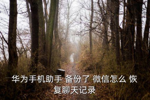 微信備份數(shù)據(jù)恢復(fù)