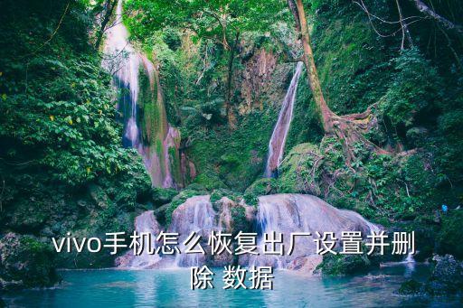 vivo手機(jī)怎么恢復(fù)出廠設(shè)置并刪除 數(shù)據(jù)