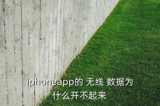 iphoneapp的 無線 數(shù)據(jù)為什么開不起來
