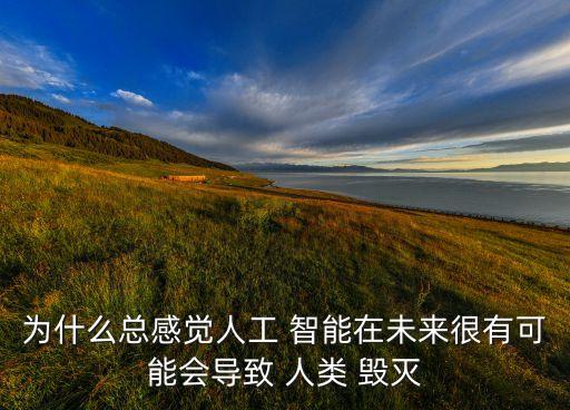 為什么總感覺(jué)人工 智能在未來(lái)很有可能會(huì)導(dǎo)致 人類(lèi) 毀滅