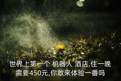 機(jī)器人酒店,馬云的智能機(jī)器人酒店