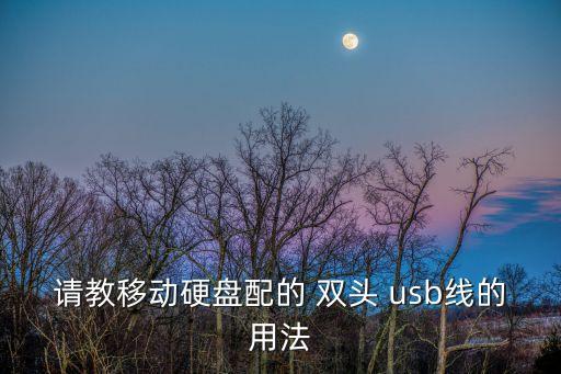 請教移動硬盤配的 雙頭 usb線的用法