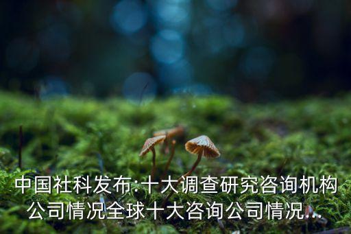 國際基礎數(shù)據(jù)服務商,數(shù)據(jù)服務商上市公司