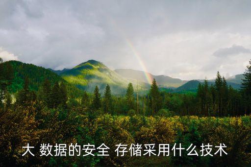 大 數(shù)據(jù)的安全 存儲采用什么技術(shù)
