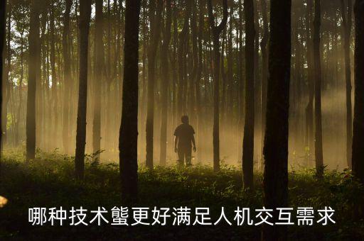 哪種技術(shù)螚更好滿足人機交互需求