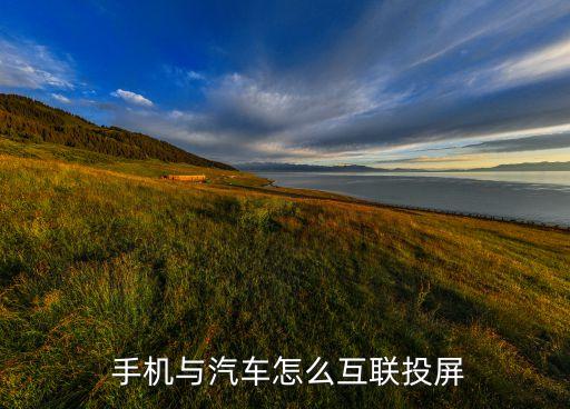 蘋果手機專用數(shù)據(jù)線