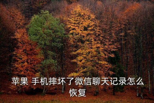  蘋果 手機(jī)摔壞了微信聊天記錄怎么 恢復(fù)