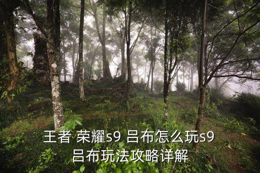 王者榮耀呂布機(jī)器人宣傳視頻