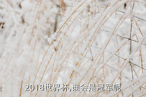 2018世界杯,誰會是冠軍呢