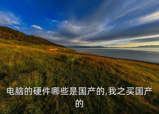 電腦的硬件哪些是國產(chǎn)的,我之買國產(chǎn)的