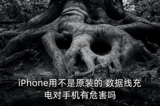 iPhone用不是原裝的 數(shù)據(jù)線充電對(duì)手機(jī)有危害嗎