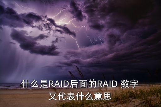 raid 數(shù)據(jù),RAID 數(shù)據(jù)存儲(chǔ)可靠性