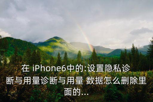 iPhone6分析數(shù)據(jù)