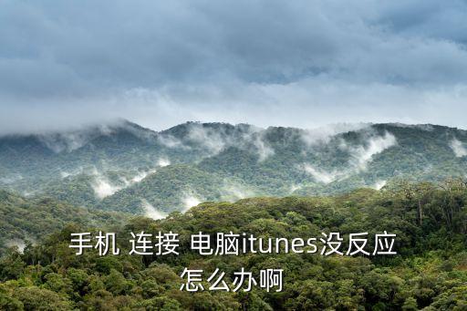 為什么蘋果開不了數(shù)據(jù)連接電腦沒反應怎么辦