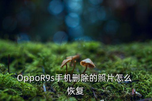 oppor9s怎么恢復數據