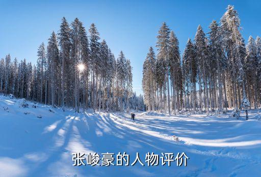 張峻豪的人物評價