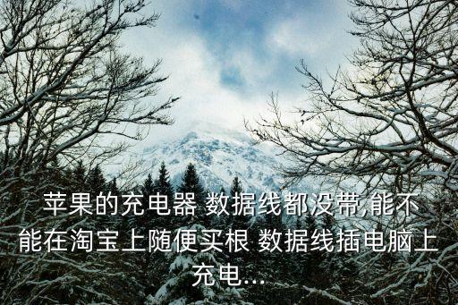 家里沒有蘋果數據線,蘋果數據線一定要用原裝的嗎