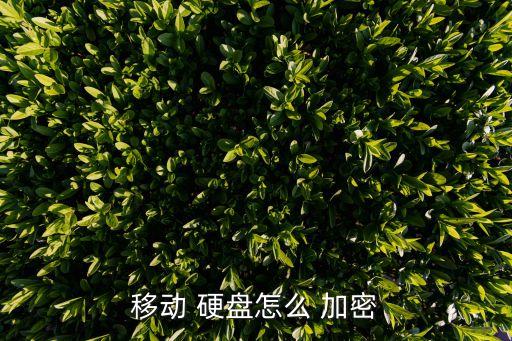 西部數(shù)據(jù)硬盤 加密
