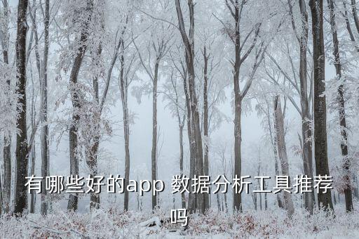 有哪些好的app 數(shù)據(jù)分析工具推薦嗎