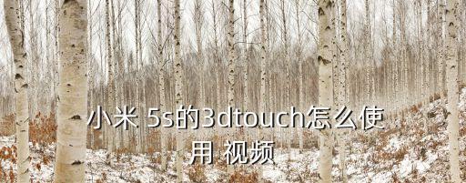 小米5s移動數(shù)據(jù)看視頻教程