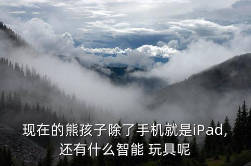 志高機器人玩具,志高拖地機器人怎么樣?