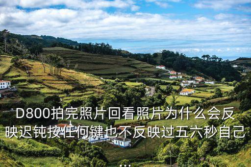 D800拍完照片回看照片為什么會反映遲鈍按任何鍵也不反映過五六秒自己...