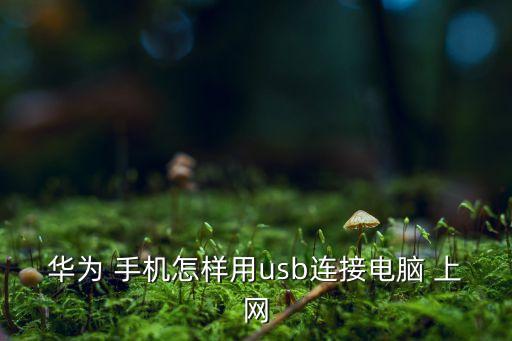 華為 手機(jī)怎樣用usb連接電腦 上網(wǎng)