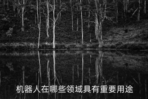 機(jī)器人在哪些領(lǐng)域具有重要用途