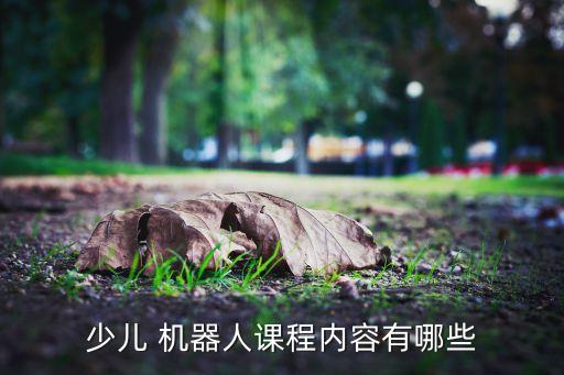 少兒 機器人課程內(nèi)容有哪些