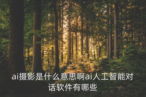 ai攝影是什么意思啊ai人工智能對(duì)話軟件有哪些