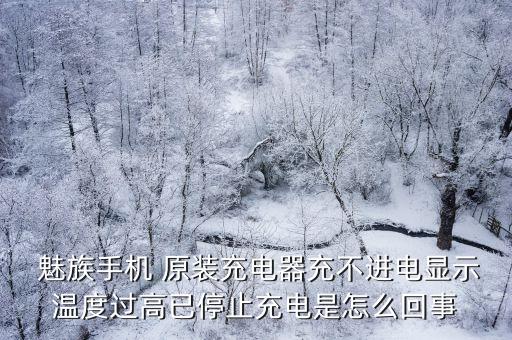  魅族手機(jī) 原裝充電器充不進(jìn)電顯示溫度過高已停止充電是怎么回事