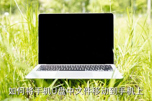 如何將手機(jī)U盤中文件移動到手機(jī)上