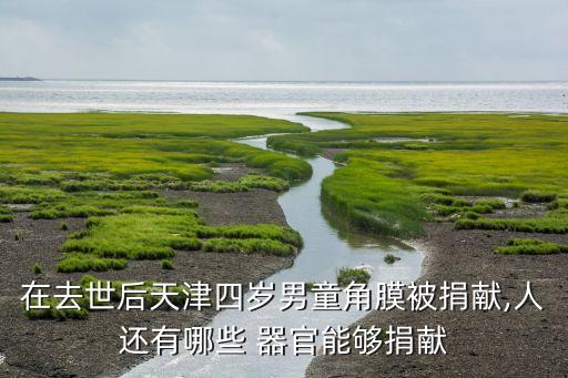 在去世后天津四歲男童角膜被捐獻(xiàn),人還有哪些 器官能夠捐獻(xiàn)