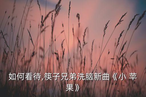 如何看待,筷子兄弟洗腦新曲《小 蘋果》