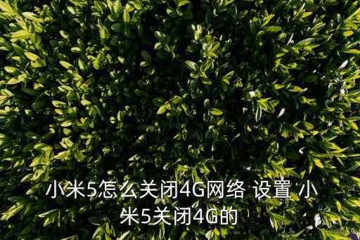 小米5手機(jī)數(shù)據(jù)流量設(shè)置在哪里,小米手機(jī)如何清除流量使用數(shù)據(jù)