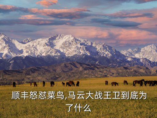  順豐怒懟菜鳥,馬云大戰(zhàn)王衛(wèi)到底為了什么